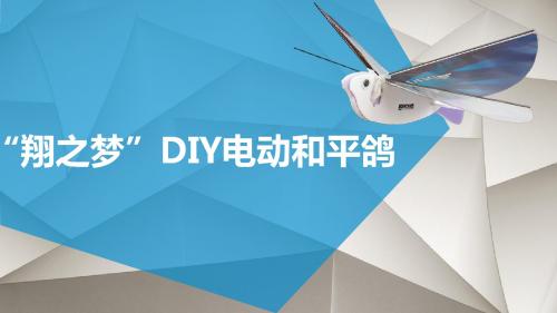 DIY电动和平鸽教学PPT