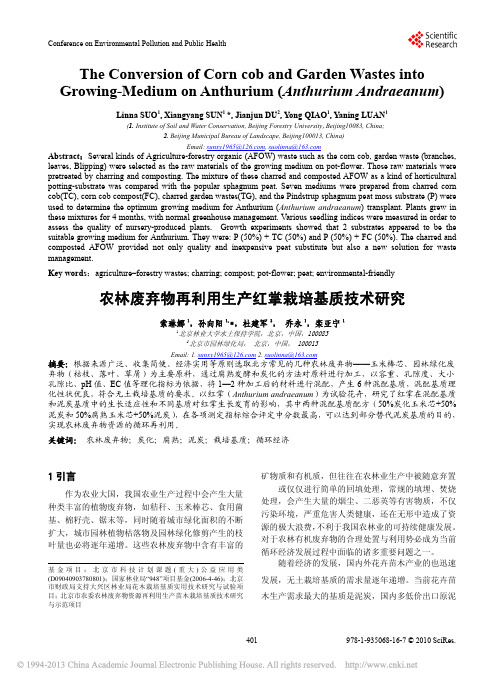 农林废弃物再利用生产红掌栽培基质技术研究_索琳娜