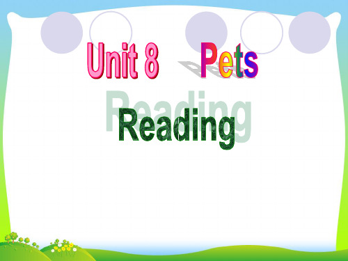 牛津译林版七年级英语下册Unit8 Pets Reading 精品课件(共37张PPT)