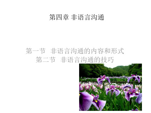 非语言沟通 (2)