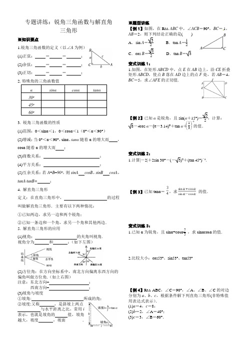 专题讲练：锐角三角函数与解直角三角形