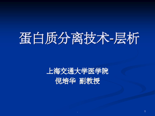 蛋白质分离技术层析