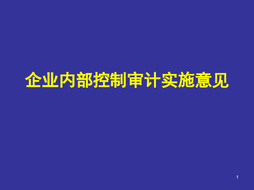 内部控制审计指引实施意见讲解