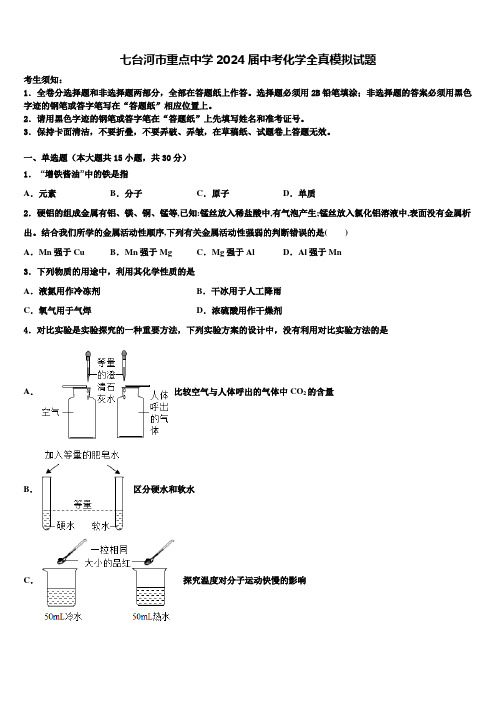 七台河市重点中学2024届中考化学全真模拟试题含解析