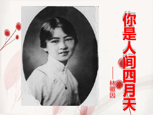 清雅ppt模板