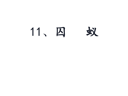 【鄂教版】六年级上册:第11课《囚蚁》教学课件