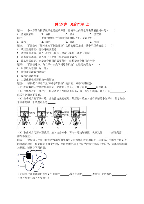 江苏省七年级生物上册第15讲光合作用上练习苏教版
