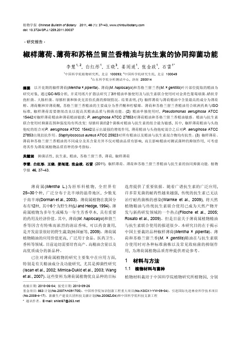 椒样薄荷_薄荷和苏格兰留兰香精油与抗生素的协同抑菌功能