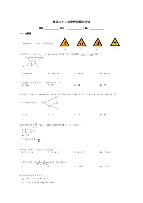 黑龙江初二初中数学期末考试带答案解析
