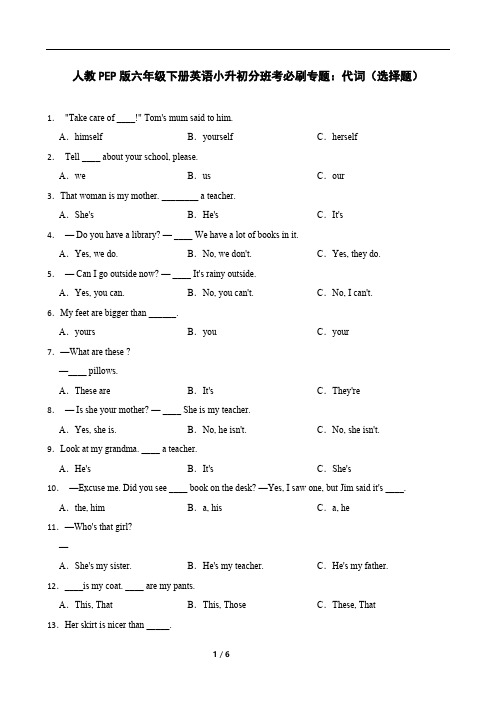2023-2024学年人教版(PEP)六年级下册英语小升初分班考必刷专题：代词(含答案)