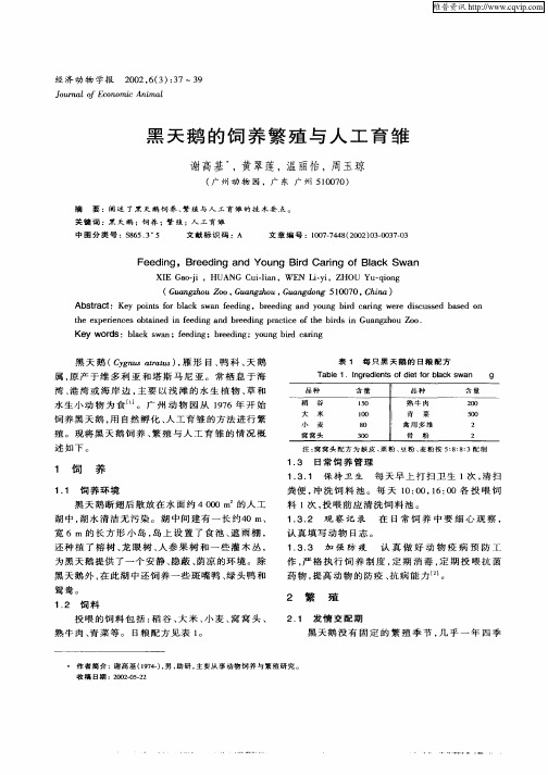 黑天鹅的饲养繁殖与人工育雏