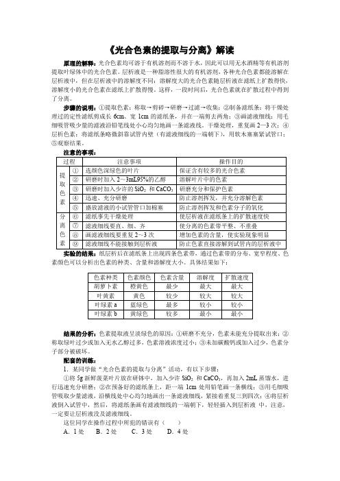 【课外阅读】《光合色素的提取与分离》解读