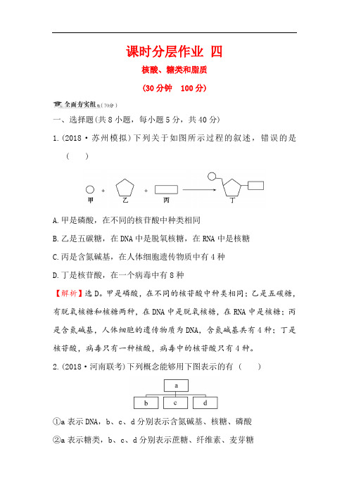 2020届高三生物人教一轮复习课时分层作业： 四 1.4核酸、糖类和脂质 Word版含解析