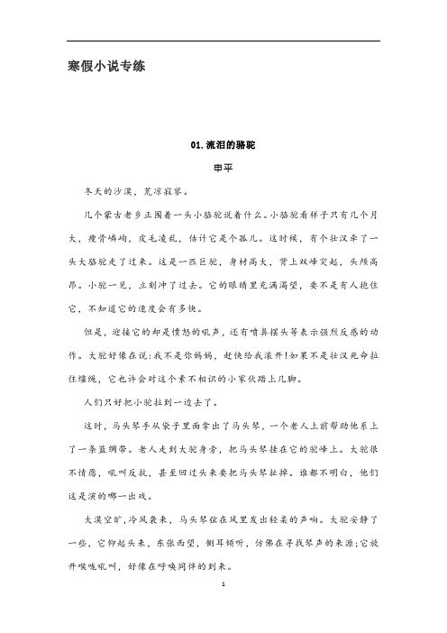 高三语文寒假作业 文学类文本小说专练 