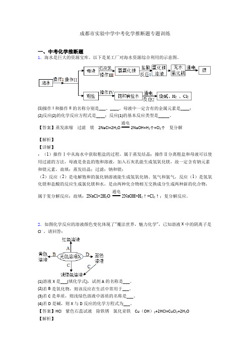 成都市实验中学中考化学推断题专题训练