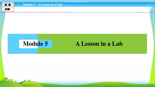 高中(外研版)英语必修1课件：Module 5 A Lesson in a Lab5