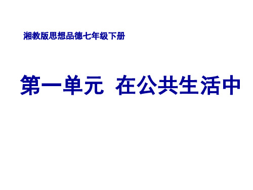 七年级政治走进公共生活1(新编201910)