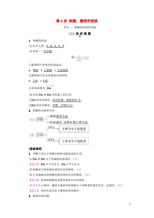 高三生物一轮复习 第1单元 核酸糖类和脂质讲义 新人教版必修1