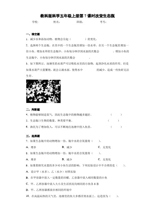 教科版科学五年级上册第7课时改变生态瓶