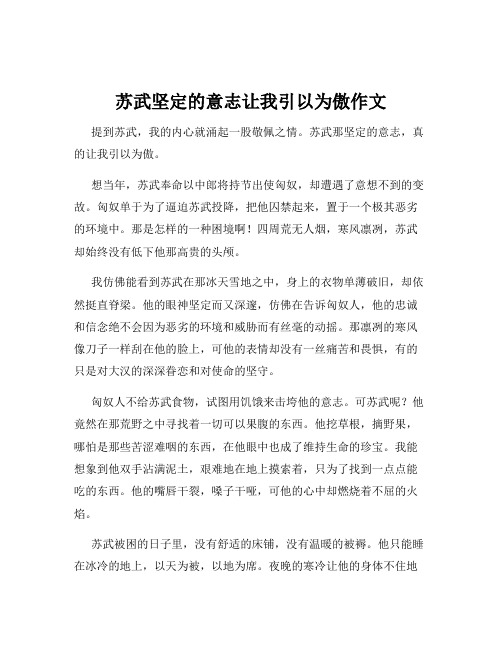 苏武坚定的意志让我引以为傲作文