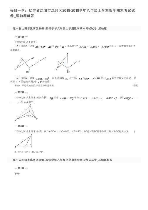 每日一学：辽宁省沈阳市沈河区2018-2019学年八年级上学期数学期末考试试卷_压轴题解答