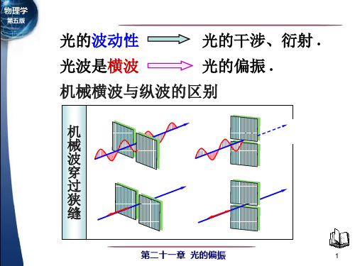 光的偏振性 马吕斯定律