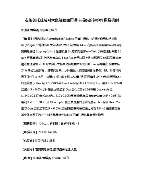 右旋美托咪啶对大鼠脑缺血再灌注损伤的保护作用及机制