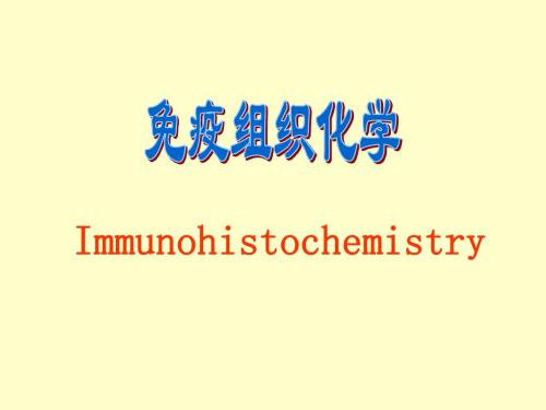 免疫组化的原理与操作 共40页PPT资料