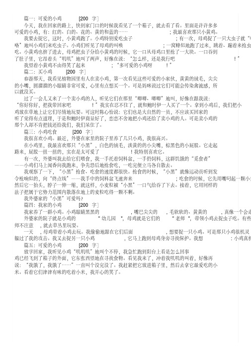 可爱的小鸡作文200字