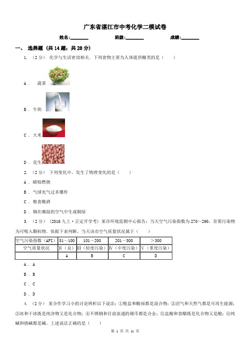 广东省湛江市中考化学二模试卷 