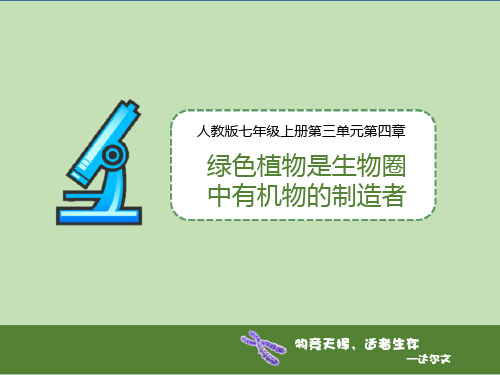 最新人教版七年级生物上册《第四章 绿色植物是生物圈中有机物的制造者》精品教学课件