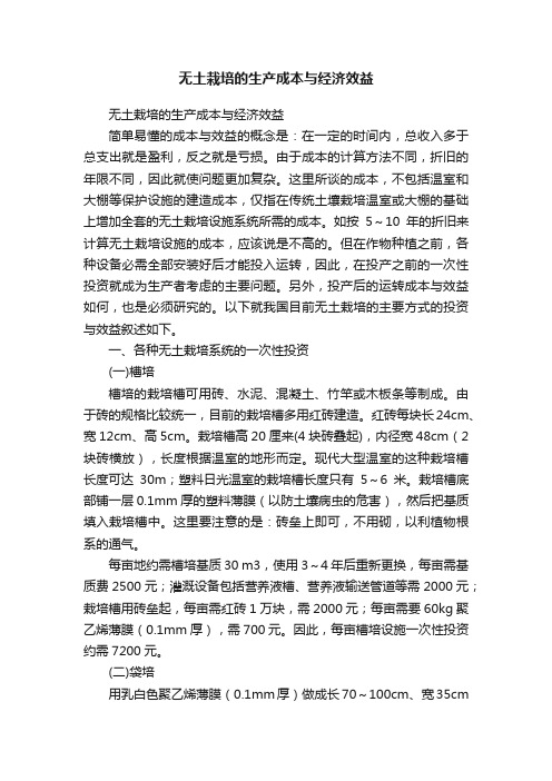 无土栽培的生产成本与经济效益