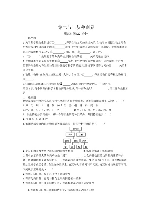 人教版生物八年级上册 6.1.2 从种到界 同步测试题