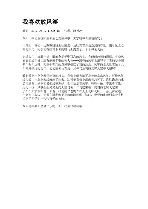 我喜欢放风筝