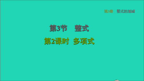 2022秋七年级数学上册 第3章 整式的加减3.3 整式2 多项式课件(新版)华东师大版