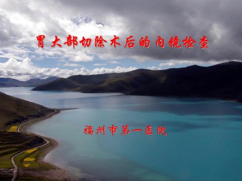 2-胃大部切除术后的内镜检查