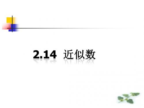 近似数教案