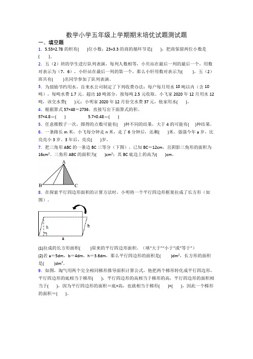 数学小学五年级上学期期末培优试题测试题