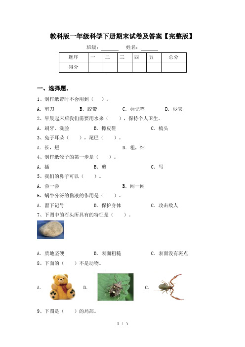 教科版一年级科学下册期末试卷及答案【完整版】