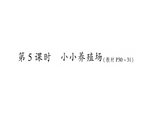 北师大版一年级下册数学习题课件-第3单元 生活中的数第 5 课时  小小养殖场