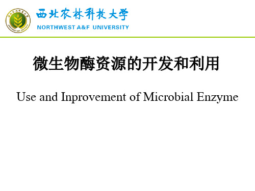 微生物酶资源的开发利用