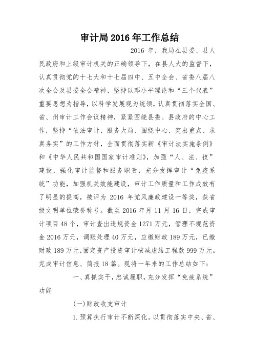 审计局2016年工作总结