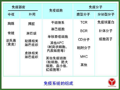 医学免疫学_免疫器官和组织