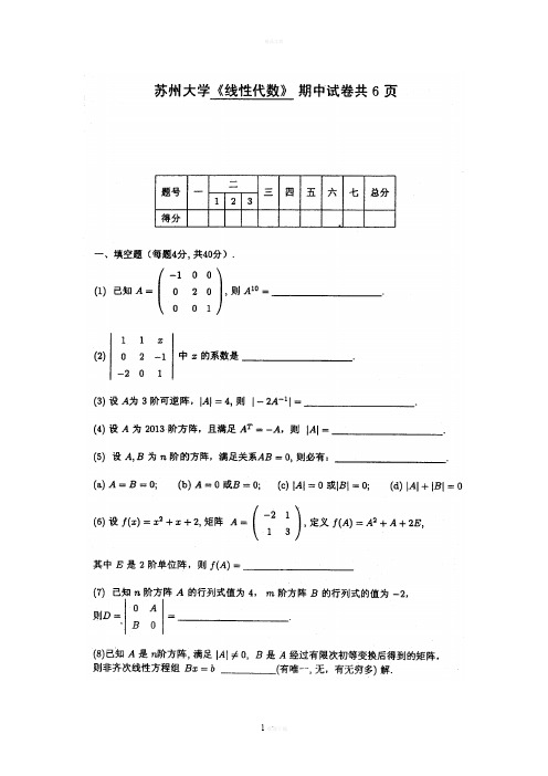 苏州大学线性代数期中课程试卷