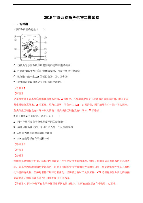 2019届陕西省高三下学期高考二模生物试卷(解析版)