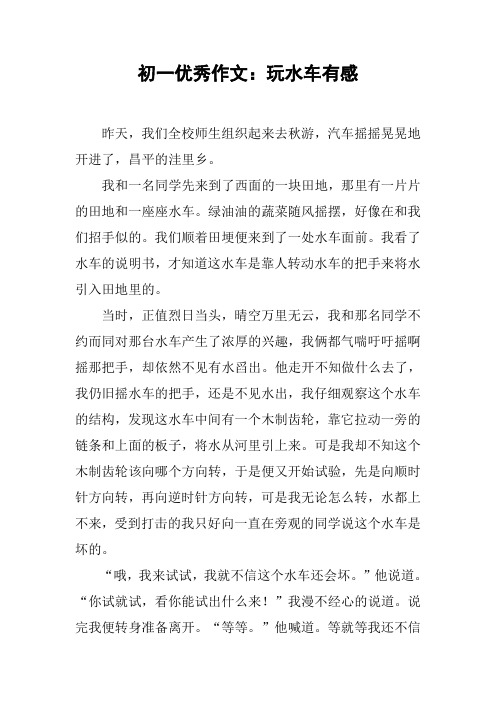 初一优秀作文:玩水车有感