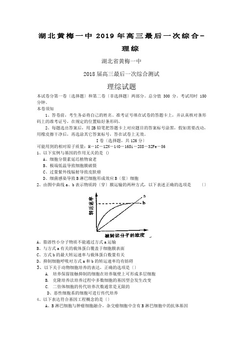 湖北黄梅一中2019年高三最后一次综合-理综