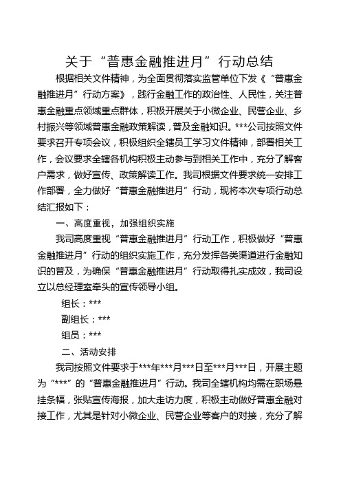 关于“普惠金融推进月”总结报告