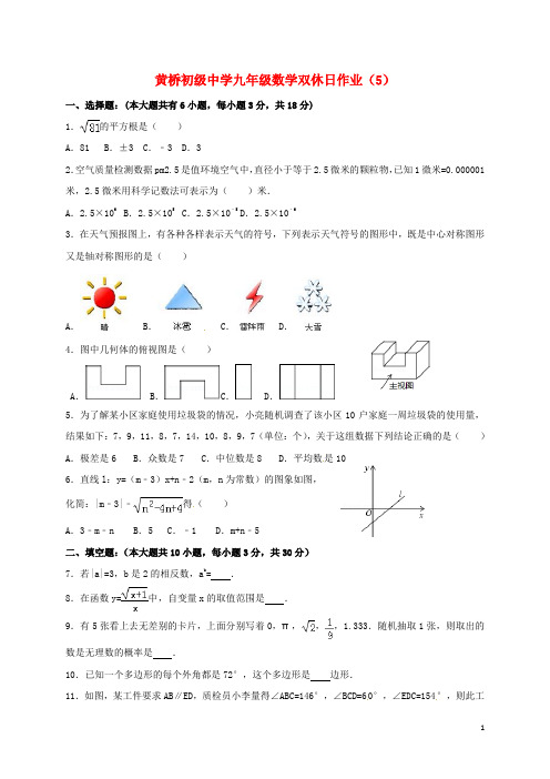 江苏省泰兴市黄桥镇九年级数学下学期双休日作业(5)(答案不全)