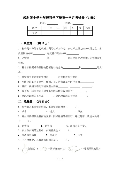 教科版小学六年级科学下册第一次月考试卷(1套)